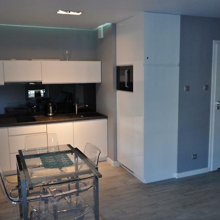 Apartament Shadow Grey コウォブジェク エクステリア 写真
