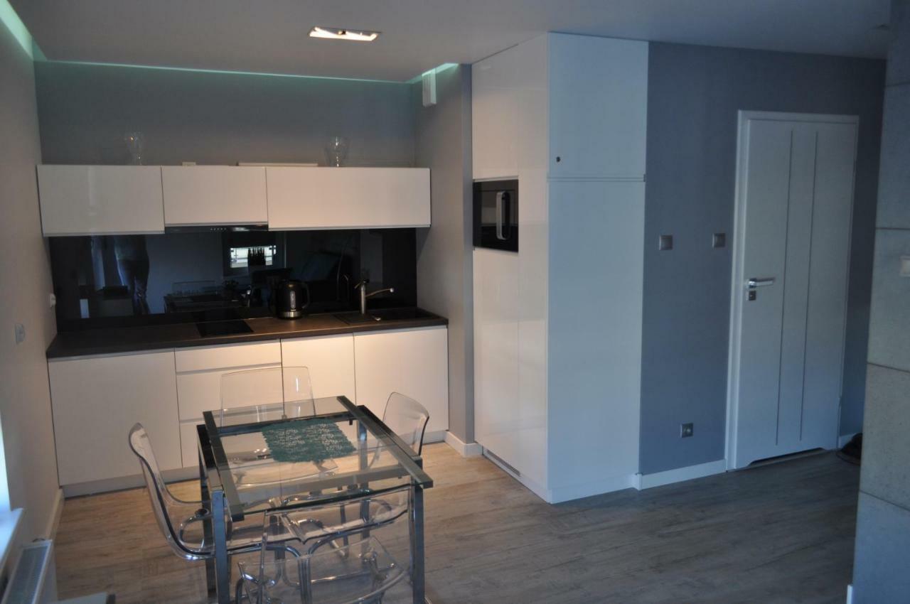 Apartament Shadow Grey コウォブジェク エクステリア 写真