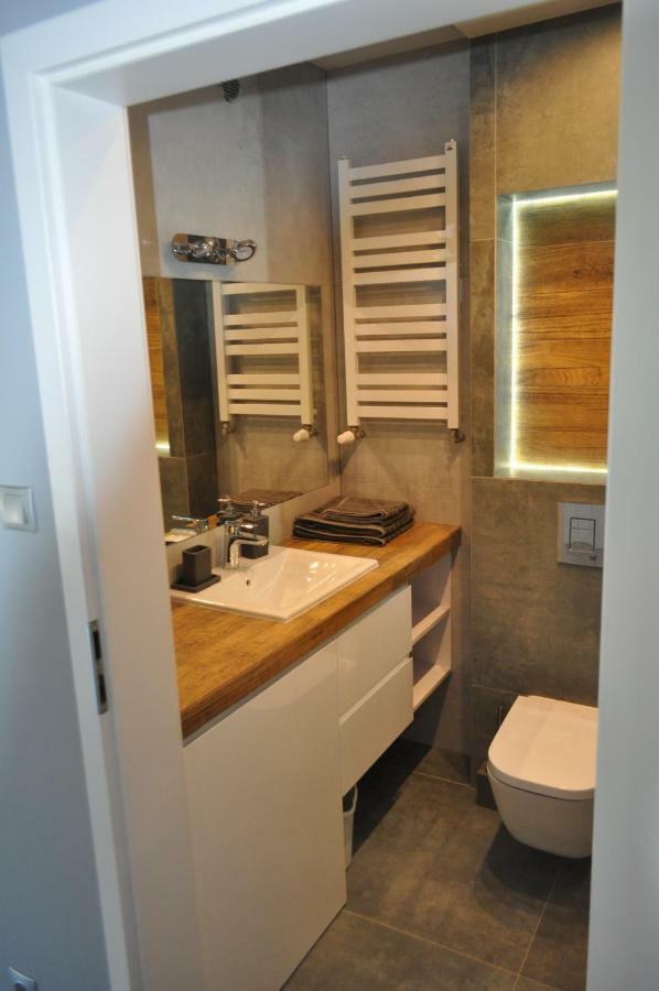 Apartament Shadow Grey コウォブジェク エクステリア 写真